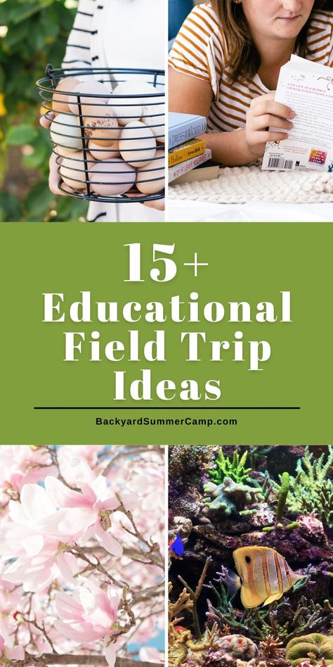 These field trip ideas are a fun treat that's sure to add something special to your DIY summer camp at home. Home Summer Camp Ideas, Summer Camp At Home Themes, Summer Camp At Home, At Home Summer Camp Weekly Themes, How To Be A Person Camp For Kids, Summer Camp Director, Summer Programs For Kids, Summer Camp Themes, Fun Organization