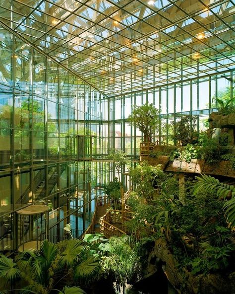 Universeum Science Center and Aquarium in Goteborg, Sweden by WINGARDH ARKITEKTKONTOR AB Goteborg Sweden, Aquarium Museum, Science Centre, Inside Garden, Exhibition Centre, Gothenburg Sweden, Sweden Travel, Rain Forest, Gothenburg