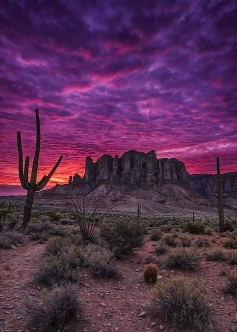 An intensely colorful sky over the Sonoran Desert in Mexico West America, Moon Pics, Colorful Sky, Desert Vibes, Moon Pictures, Sonoran Desert, Pretty Places, Mecca, The Desert