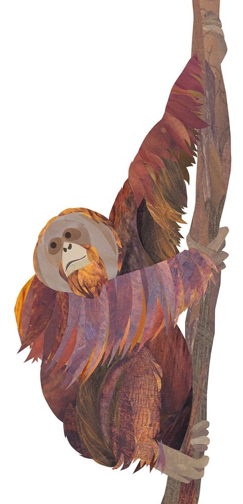 Orangutan Anatomy, Orangatang Art, Orangutan Tattoo, Orangutan Illustration, Orangutan Drawing, Orangutan Art, Endangered Species Art, Zoo Project, Monkey Illustration