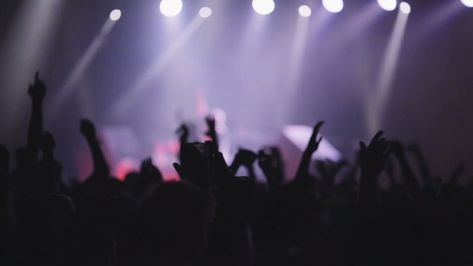 Concert Videos Aesthetic, Music Effect Video, Concerts Videos, Music Gif, Festival Video, Band Performance, Metal Concert, Concert Video, Group Video