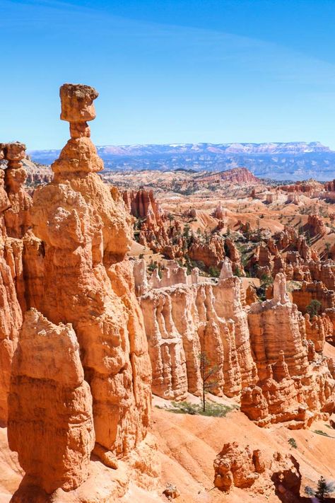 Gods Handiwork, Great Canyon, Desert Pics, Bryce Canyon Hikes, The Wave Arizona, Zion National Park Photography, Zion National Park Hikes, Bryce National Park, Utah Parks