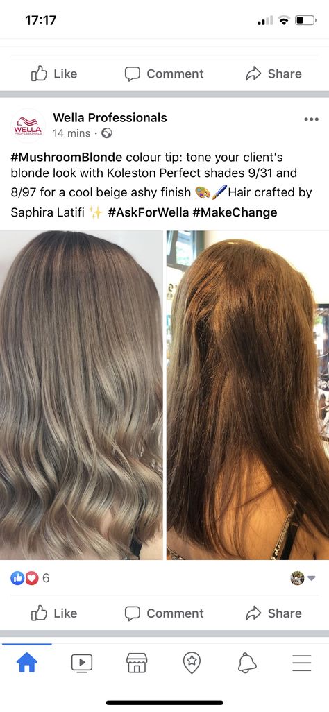 Beige Vs Ash Blonde Hair, Natural Blonde Hair Formula, Ash Brown Toner Formula, Light Ash Brown Hair Formula, Mushroom Brown Formula Wella, Wella Color Formulas, Ash Brown Formula Wella, Wella Ash Brown Formula, Ash Grey Toner Formula