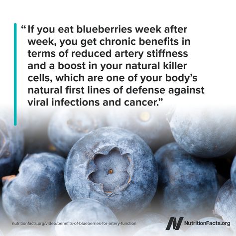 What is the optimum dose of wild blueberries to eat at a meal? Berry Benefits, Fruit Health Benefits, Fruit Benefits, Aesthetic Names, Blue Pigment, Viral Infection, Gut Bacteria, Wild Blueberries, Plant Based Diet