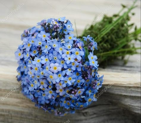 Birthday Flowers Arrangements, Forget Me Nots Flowers, Forget Me Not Flower, Flowers Arrangements, Blue Bouquet, Spring Blooms, Arte Floral, Birthday Flowers, Forget Me Not