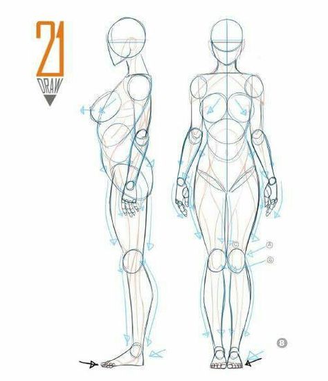 Female Body Drawing, Drawing Body Proportions, Human Body Drawing, Drawing Female Body, Human Anatomy Drawing, Human Figure Drawing, Human Anatomy Art, Human Drawing, Anatomy Sketches