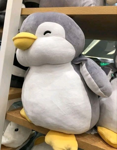 Giant Penguin Plush, Big Plushies Aesthetic, Apple Wallpaper Full Hd, Penguin Teddy Bear, Penguin Teddy, Penguin Wallpaper, Big Teddy, Best Friend Pictures Tumblr, Snoopy Wallpaper