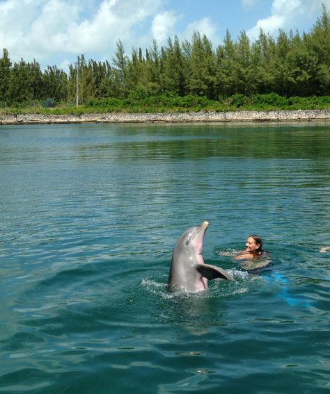 Swimming with dolphins. So much fun! Grand Bahamas with Stephanie Swimming With Dolphins Aesthetic, Swim With Dolphins, Swimming With Dolphins, Atlantis Bahamas, Daughter Of Poseidon, Hawaii Pictures, Bahamas Vacation, Ocean Girl, Ocean Vibes