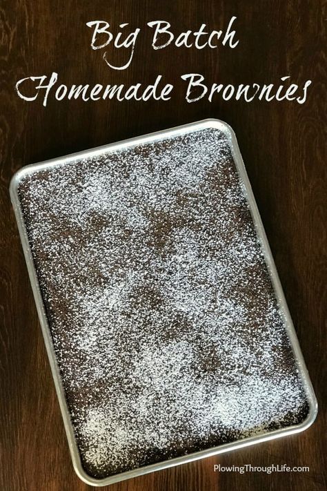 Large sheet pan of homemade brownies with confectioners sugar and text Big Batch Brownies, Brownies For A Crowd, Dessert To Feed A Crowd, Easy Chocolate Dessert, Ohio Food, Cake Like Brownies, Brownies From Scratch, Pan Cookies, Brownies Recipe Homemade