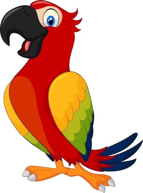 Parrot Vector, Parrot Cartoon, Parrot Drawing, Cute Parrot, Drawing Animation, Funny Parrots, Pet Rocks, Cute Cartoon Animals, Art Drawings For Kids