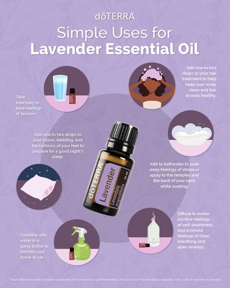 Lavender Oil Uses, Uses For Lavender, Lavender Essential Oil Uses, Top Essential Oils, Doterra Lavender, Essential Oil Education, Doterra Essential Oils Recipes, Essential Oils Health, Essential Oil Benefits