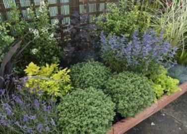 50 Super Ideas for low maintenance landscape ideas front yard shrubs house  2019... ,  #front #House #ideas #Landscape #Maintenance #Shrubs #Super #yard Check more at http://perennialss.casebtc.com/50-super-ideas-for-low-maintenance-landscape-ideas-front-yard-shrubs-house-2019/ Low Maintenance Landscape, Garden Landscaping Backyard, Low Maintenance Landscaping Front Yard, Low Maintenance Garden Design, Landscaping Shrubs, Bushes And Shrubs, Evergreen Garden, Backyard Pool Landscaping, Low Maintenance Landscaping