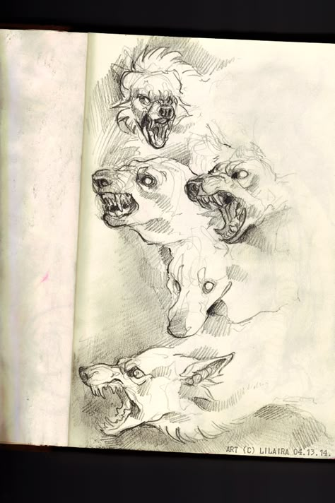 302 by LiLaiRa on DeviantArt Canine Art, My Sketchbook, Sketchbook Art, Wow Art, Wolf Art, 판타지 아트, Art Block, Creature Design, A Drawing