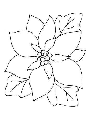 Pointsetta Plant Drawing, Christmas Flower Drawing, Poinsettia Flower Drawing, Poinsettia Drawing, Poinsettia Clipart, Free Christmas Coloring Sheets, Christmas Coloring Sheets, Flower Drawing Tutorials, Draw Ideas