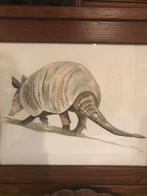 Armadillo Painting, Wildlife Photography, Animal Crossing, Painting Ideas, Handmade Crafts, Paintings, Fine Art, Animals, Art