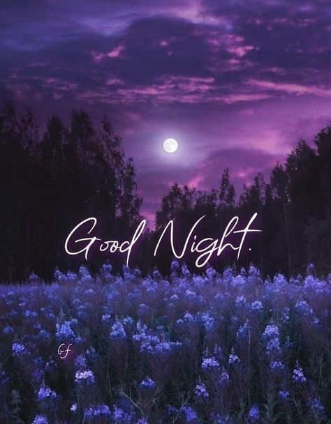 Sweet Good Night, Sweet Good Night Messages, Night World, Evening Pictures, Good Night Everyone, Dream Night, In Gif, Night Messages, Good Night Greetings