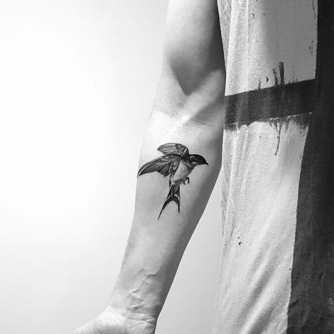 Mens Robin Tattoo, Bluebird Tattoo Men, Bird Tattoo Men Leg, Swallow Tattoo Men Arm, Blue Bird Tattoo Men, Lark Bird Tattoo, Robin Tattoo Men, Bird Tattoo Men Arm, Men Bird Tattoo