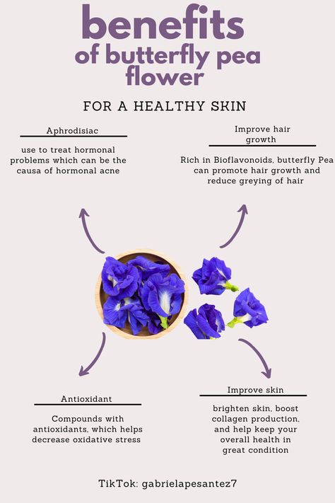 Butterfly pea flower can be consume as tea, lattes, or as a face mask✨ Butterfly Sweet Pea Tea Benefits, Benefits Of Butterfly Pea Tea, Butterfly Pea Flower Tea Benefits, Herbal Flowers, Hormone Healing, Pea Flower Tea, Tea Lattes, Butterfly Pea Tea, Butterfly Pea Flower Tea