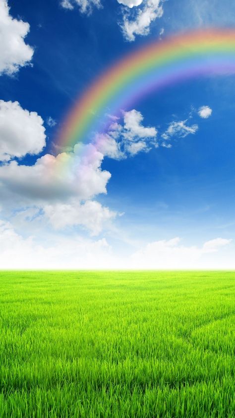 Daytime Wallpaper, Wall Rainbow, Green Wallpapers, Green Grass Field, Nature Photography Trees, Rainbow Photography, Grass Background, Grass Wallpaper, Rainbow Sky