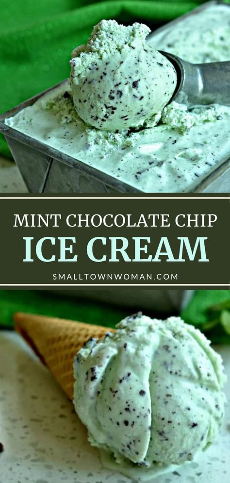 Homemade Ice Cream Recipes Machine, Best Homemade Ice Cream, Ice Cream Recipes Machine, Mint Chip Ice Cream, Easy Ice Cream Recipe, Ice Cream Maker Recipes, Mint Chocolate Chip Ice Cream, Mint Ice Cream, Easy Ice Cream