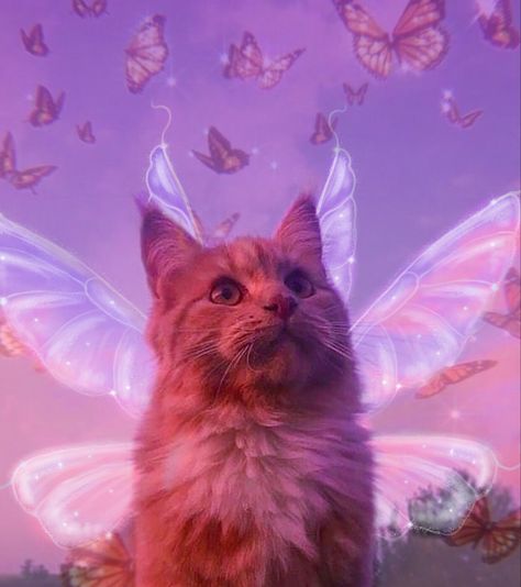 Fairy Animals Aesthetic, Cats With Wings, Fairy Cats, Fairy Animals, Cat And Butterfly, Fairy Cat, Animals Aesthetic, Funny Cat Wallpaper, Cute Cat Wallpaper