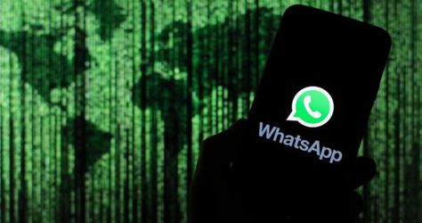 Encrypted Messages, Whatsapp Logo, Whatsapp Tricks, Hack Facebook, Whatsapp Marketing, Online Privacy, Parental Control, Whatsapp Message, Perfect Timing