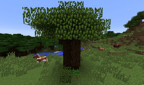 dark oak tree minecraft Dark Oak Tree Minecraft, Minecraft Dark Oak Forest, Dark Oak Forest, Tree In Minecraft, Tree Minecraft, Forest Treehouse, Minecraft Tree, Trees Png, Oak Forest