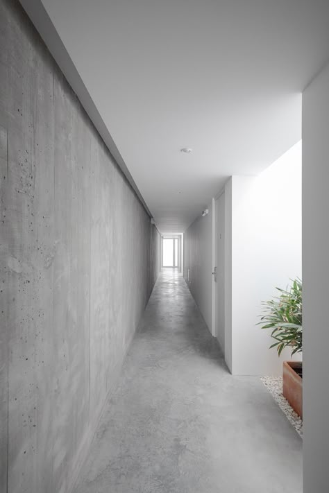 Gallery of Pe no Monte - Rural Tourism / [i]da arquitectos - 25 Concrete Minimalist House, Stone Hallway, Plaster Design, Tropical Interiors, Living Room Wall Designs, Corridor Design, Concrete Interiors, Timeless Architecture, Concrete Walls