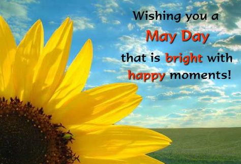 May Day Happy Man Day, Men's Day Quotes, Exams Results, Happy May Day, Labor Day Quotes, May Quotes, Examination Results, Railway Jobs, Holiday Images