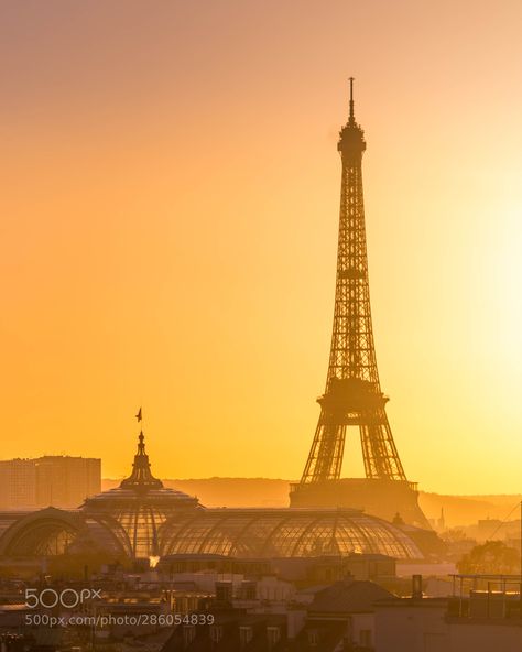 Paris Golden Hour, Soft Golden Hour Aesthetic, Golden Hour City, Golden Hour Aesthetic, Paris View, France Aesthetic, Golden Hour Photos, Capital Cities, Dark Paradise