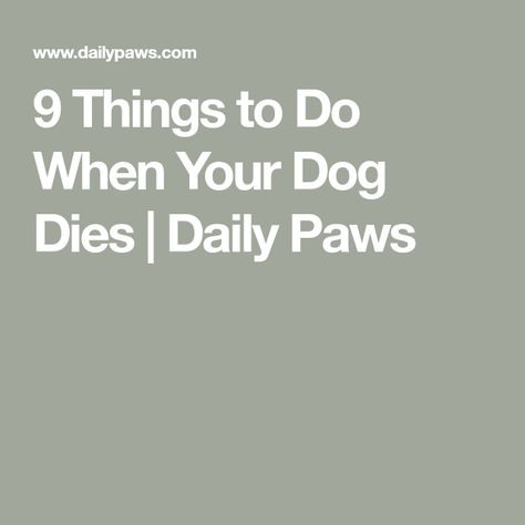 9 Things to Do When Your Dog Dies | Daily Paws What To Do When Your Dog Dies, When Your Dog Dies, Dog Last Day, Things To Fo, Pet Cemetary, Bereavement Support, Coping With Loss, Pet Cemetery, Dead Dog