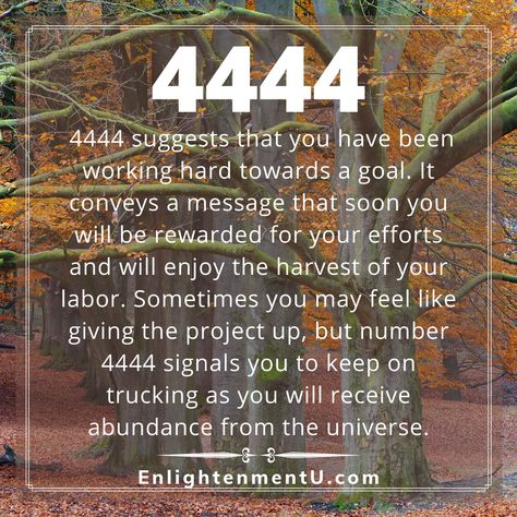 Is 4444 one of those numbers which you have seen a lot more often presently? Have you seen 4444 in your workplace or a cafeteria? If yes, then now is the time to decipher the meaning of 4444. Angel number 4444 symbolizes the principle of putting ideas into form and it signifies work and productivity. It indicates that you'll be rewarded for your efforts and urges to continue the hard work to manifest your dream into reality. 4444 Meaning Angel Numbers, Angel Number 4444 Meaning, 4444 Angel Number Meaning, 4444 Meaning, Angles Numbers, 4444 Angel Numbers, 4444 Angel Number, Numerical Numbers, 9:19 Angel Number Meaning