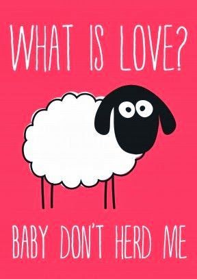 Corny Valentines, Valentines Day Puns, Funny Valentines Cards, Funniest Valentines Cards, Corny Jokes, Cute Puns, Funny Valentines Day Quotes, My Funny Valentine, Valentine's Day Quotes