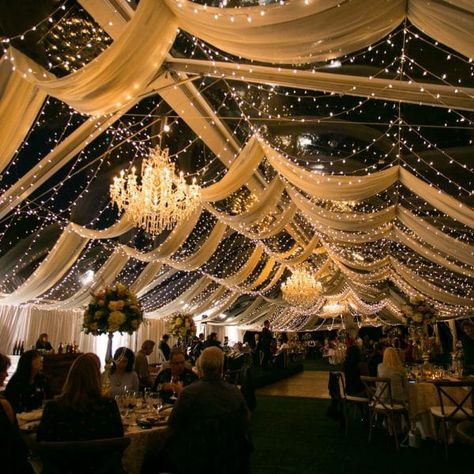 Rentaland Tents and Events. Orlando Wedding Rentals. Wedding Drapes. Tent wedding reception.  #orlandoweddings #orlandoweddingrentals Wedding Tent Lighting Night, Clear Tent Wedding Reception Night, Indoor Tent Wedding Reception, Tent Ideas For Wedding, Wedding Decor Ceiling, Wedding Tent Draping, Wedding Tent Lighting, Beach Wedding Setup, Wedding Drapes