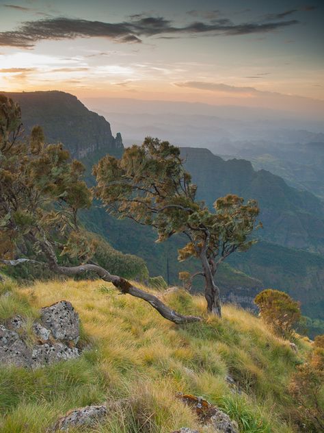 Sunkaber Sunset | Ethiopian Highlands Ethiopia Travel, Travel Plan, Lion Of Judah, Places Of Interest, Africa Travel, Pics Art, Pretty Places, Places Around The World, Ethiopia