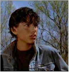 Ralph Macchio  Outsiders.  Karate Kid.  I'm not ashamed to admit. Ponyboy And Johnny Matching Pfp, Johnny Cade The Outsiders, The Outsiders Johnny, Outsiders Ponyboy, Ralph Macchio The Outsiders, Breakfast Club Movie, Outsiders Cast, Cobra Kia, Johnny Cade