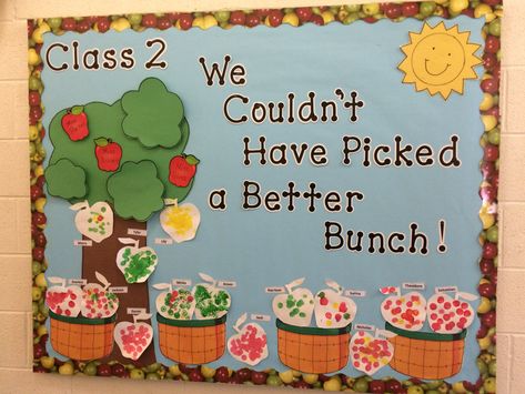 We Couldn’t Have Picked A Better Bunch Bulletin Board-Apples Bulletin Board Apple Ideas, Fall Classroom Boards Preschool, Bulletin Board Apple Tree, Fall Bulletin Board Ideas Apples, Apple Bulliten Boards For Preschool, Apple Boards For Preschool, Apple Theme Door Decoration, September Bulletin Boards For Daycare, September Window Display Preschool