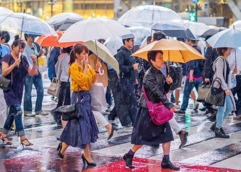 You’ve made good on your New Year’s Resolution to visit Tokyo. You even made sure to avoid the rainy season in June-July and typhoon season in September. Yet somehow, instead of landing in the Land of the Rising Sun, you’ve landed in the Land of Gloomy Skies. What to do?Don’t worry! Here are ten ways to enjoy a rainy day in Tokyo without any regrets. Rainy Day In Tokyo, Japan Rainy Day Outfit, Between Summer And Fall, Tokyo Marathon, Trip To Tokyo, Shinjuku Gyoen, Tokyo Museum, Mega City, China Culture