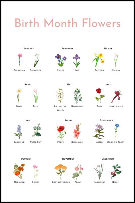 All 24 Birth Flowers & Their Meanings - Luly Bloom Meaning Behind Flowers, Flower For January, Flower For July, Flower Of December, Flowers For Months Of The Year, November Birth Flowers, Birth Flower Meanings, Flowers Facts, Flowers With Meaning