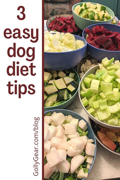 Homemade Weight Management Dog Food, Dog Losing Weight Tips, Homemade Dog Food Vet Approved, Dog Diet Plan, Corgi Puppies, Doggie Treats, Animal Food, Frog Pictures, Metabolic Diet