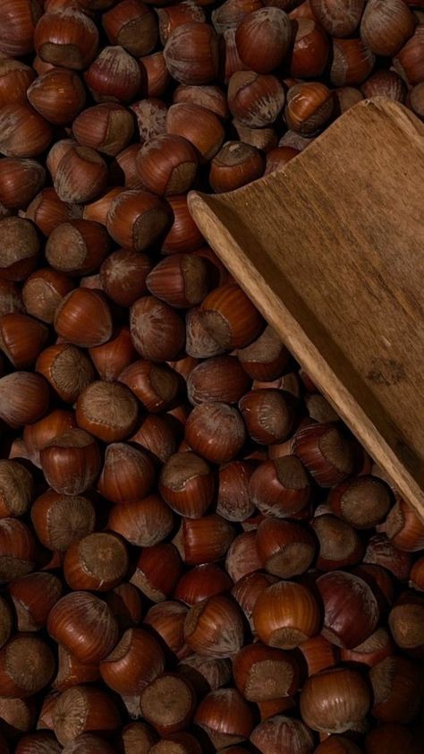 Chestnut Aesthetic, Meat Food Styling, Food Core, Meat Food, Food Art Photography, Food Places, Instagram Story Ideas, Meat Recipes, Food Styling