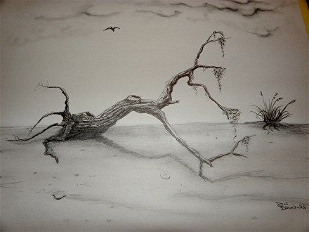 Pencil sketch - - driftwood. Driftwood Drawing, Beach Sketches Pencil, Beach Pencil Drawings, Driftwood Tattoo, Drawing Of The Beach Pencil, River Pencil Drawing, Driftwood Projects, Pencil Art Drawings, Shell Crafts