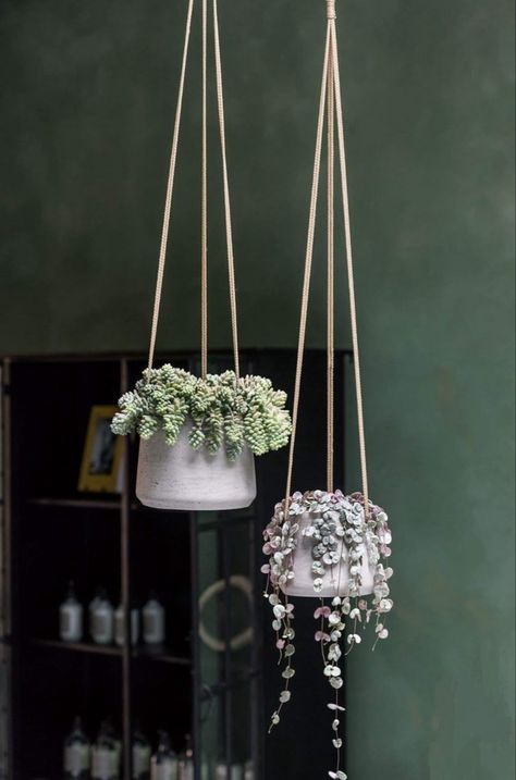 Urban gardening for hanging plants Desktop Planter, Crystal Room, Pottery Pots, Planting Pot, Small Flower Pots, Plants Are Friends, Interiors Dream, Urban Gardening, Apartment Balcony Decorating