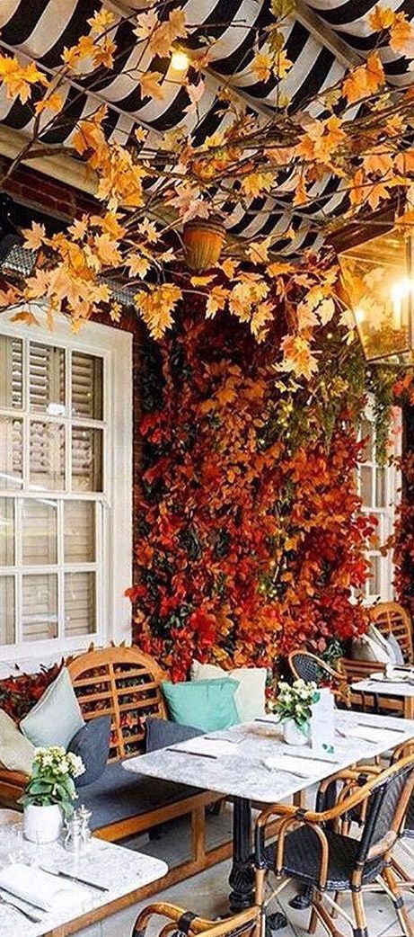 Veranda Magazine, Victoria Magazine, Instagram London, Modern Restaurant, London Places, Outdoor Restaurant, Instagrammable Places, Autumn Scenery, Cafe Interior