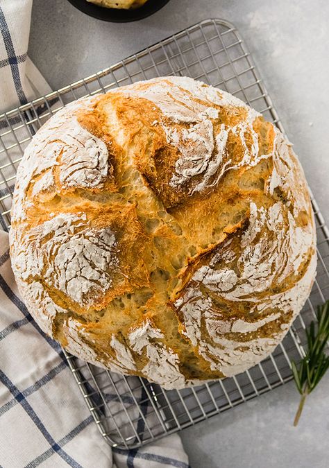 Roasted Garlic and Rosemary Crusty Bread - This quick and easy french bread is full of delicious roasted garlic and fresh rosemary. A perfect homemade side dish for a cozy dinner! Use as sandwich bread or breakfast toast. No bread machine or stand mixer necessary. Ready in less than 3 hours - no overnight rise! #crustybread #roastedgarlic Easy Rosemary Bread, Asiago Bread, Easy French Bread, Crusty Bread Recipe, Bread Roast, Rosemary Bread, Dutch Oven Bread, Artisan Bread Recipes, Garlic Bread Recipe