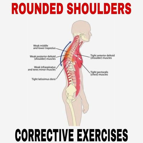 Rolled Shoulders Exercise, Rounded Shoulders Correction, Rounded Shoulder Exercises, Sloped Shoulders, Shoulder Rehab, Forward Head Posture, Ankle Mobility, Rounded Shoulders, Latissimus Dorsi