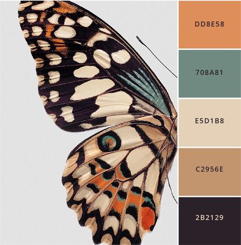 Color Schemes Colour Palettes, Modern Color Palette, Brand Color Palette, Color Palette Design, Color Inspo, Colour Board, Photography Logos, Color Stories, Vintage Modern