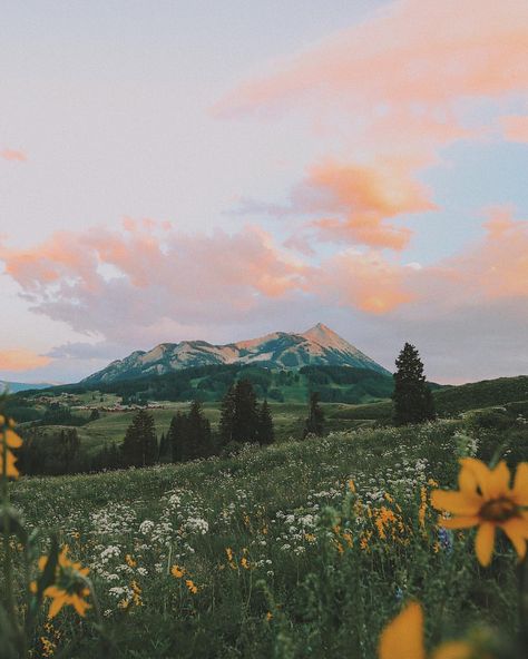 "you belong among the wildflowers" 🌸🌼🦋 thank you @crestedbuttewildflowerfestival for the most incredible weekend dancing in your majestic… Arte Do Ukulele, Dragon Age Inquisition, Wallpapers Iphone, Jolie Photo, Nature Aesthetic, Dragon Age, Pretty Places, Mother Earth, Pretty Pictures