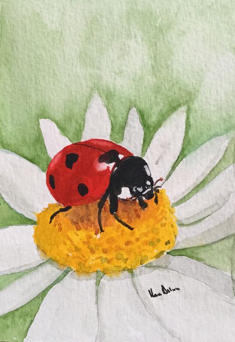 Draw A Ladybug, Drawing Ladybug, Ladybug Art Painting, Ladybird Painting, How To Paint A Ladybug, Ladybug Painting, Bugs Painting, Ladybug Watercolor, Watercolour Ladybug