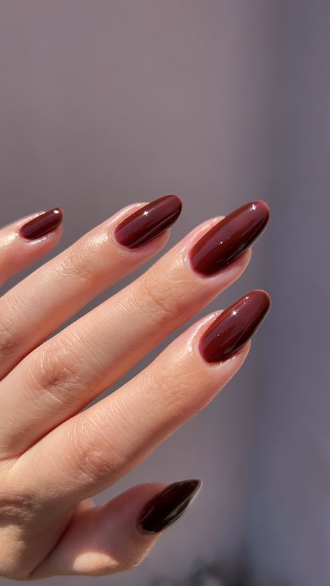 Jelly Nails Brown, Brown Jelly Nails, Translucent Nails, Nails Brown, Jelly Nails, Indie Nail Polish, Indie Brands, Cute Nails, Jelly